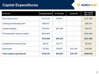 Capital Expenditures
Young-Davidson

El Chanate

Corporate

Year ended
Dec. 31/13

Site infrastructure

$112,518

$9,481

-

$121,999

Underground development

$99,472

-

-

$99,472

Capital stripping

$18,543

$27,398

-

$45,941

$(45,464)

-

-

$(45,464)

$185,069

$36,879

-

$221,948

Capitalized borrowing costs

$6,231

$2,177

-

$8,408

Exploration

$3,930

$5,027

$10,109

$19,066

$195,230

$44,083

$10,109

$249,422

(in thousands)

Pre-production revenue credits

Total capital expenditures

14

 