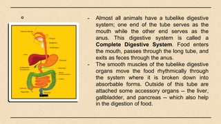 Incomplete Digestive System Examples Quarter 4_Grade 8_Digestive System Structure and Functions | PPTX