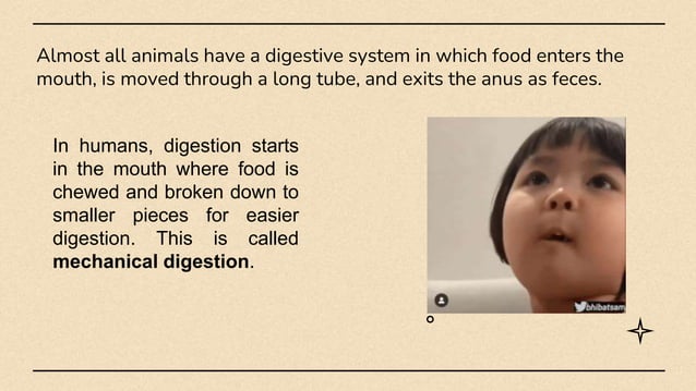 Quarter 4_Grade 8_Digestive System Structure and Functions | PPTX ...