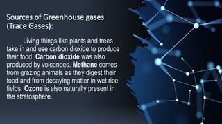Sources of Greenhouse gases
(Trace Gases):
Living things like plants and trees
take in and use carbon dioxide to produce
their food. Carbon dioxide was also
produced by volcanoes. Methane comes
from grazing animals as they digest their
food and from decaying matter in wet rice
fields. Ozone is also naturally present in
the stratosphere.
10
 
