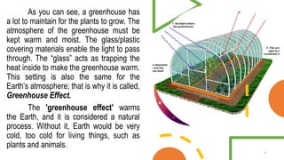 As you can see, a greenhouse has
a lot to maintain for the plants to grow. The
atmosphere of the greenhouse must be
kept warm and moist. The glass/plastic
covering materials enable the light to pass
through. The “glass” acts as trapping the
heat inside to make the greenhouse warm.
This setting is also the same for the
Earth’s atmosphere; that is why it is called,
Greenhouse Effect.
The 'greenhouse effect' warms
the Earth, and it is considered a natural
process. Without it, Earth would be very
cold, too cold for living things, such as
plants and animals.
9
 