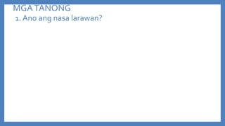 MGA TANONG
1. Ano ang nasa larawan?

 
