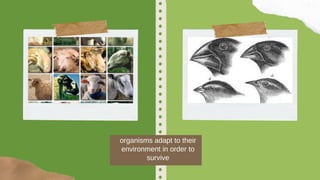 organisms adapt to their
environment in order to
survive
 