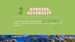 2
- simplest and most common measure of biodiversity using the
number of different species that live within a region as the
parameter.
Species
Diversity
 