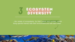 3
- the variety of ecosystems, by their nature and number, where
living species interact with their environment and with each other.
ECOSYSTEM
Diversity
 