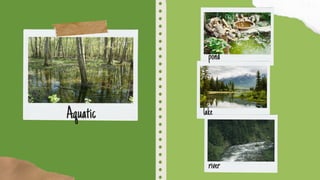 Aquatic
pond
lake
river
 