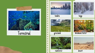 rainforest desert
grassland
Terrestrial
tundra taiga
deciduousforest
 