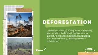 DEFORESTATION
- clearing of forest by cutting down or removing
trees in which the land will then be used for
agricultural expansion, logging, road building
and urbanization (e.g., building resorts or
subdivisions).
 