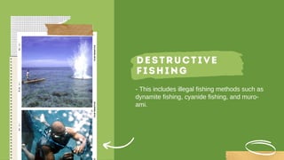 DESTRUCTIVE
FISHING
- This includes illegal fishing methods such as
dynamite fishing, cyanide fishing, and muro-
ami.
 