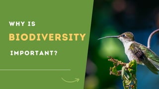 WHY IS
BIODIVERSITY
IMPORTANT?
 