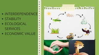 1
2
3
4
5
6
INTERDEPENDENCE
STABILITY
ECOLOGICAL
SERVICES
ECONOMIC VALUE
 