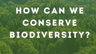 HOW CAN WE
CONSERVE
BIODIVERSITY?
 