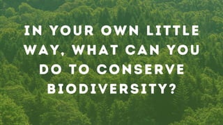 In your own little
way, what can you
do to conserve
biodiversity?
 