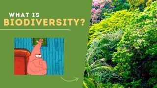What is
BIODIVERSITY?
 