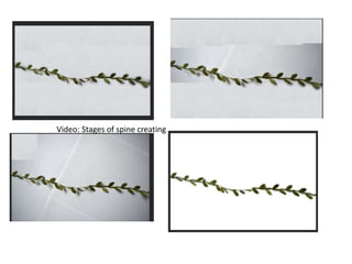 Video: Stages of spine creating
 