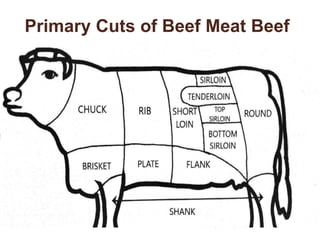 Primary Cuts of Beef Meat Beef
 