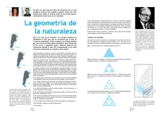 Juan Miguel Medina
                                                        De tanto en tanto aparecen ideas tan poderosas que no sólo




                         IAM - CONICET
Alexia Yavícoli
FCEyN - UBA
                                                        modiﬁcan el futuro sino también el pasado. Surge una clave
                                                        distinta para relatar la historia, donde la nueva idea aparece
                                                        naturalmente mucho antes de ser concebida.




                                              La geometría de
                                                                                                                                              En los últimos 40 años, la geometría fractal, cobró gran relevancia, debido a
                                                                                                                                              su gran aplicabilidad en diversos problemas como por ejemplo: compresión de
                                                                                                                                              datos, compresión de imágenes digitales, sismología, porosidad de materiales,
                                                                                                                                              descripción de formas biológicas (disposición de glándulas, redes neuronales,
                                                                                                                                              red vascular, etc.), creación de fondos y paisajes para efectos especiales de



                                                 la naturaleza
                                                                                                                                              cine o composición armónica y rítmica de melodías.
                                                                                                                                              Para ﬁjar ideas sobre la apariencia y modo de construcción de los fractales,              Benoit Mandelbrot (1924-2010) mate-
                                                                                                                                                                                                                                        mático nacido en Polonia y formado en
                                                                                                                                              veamos algunas construcciones elementales.
                                                                                                                                                                                                                                        Francia. Trabajó sobre el concepto de
                                                                                                                                                                                                                                        fractal difundiendo su posibles aplica-
                                                        Tal es el caso de los fractales, un concepto acuñado por                              TRIÁNGULO DE SIERPINSKI                                                                   ciones. Según Mandelbrot, la geome-
                                                                                                                                                                                                                                        tría fractal permitirá una comprensión
                                                        Mandelbrot en 1967 que, una vez reconocido por su valor en                            Una forma de construír fractales, es comenzando con una ﬁgura sencilla bá-                más profunda de los elementos de la
                                                        el universo matemático, invitó a explorar un territorio poblado                       sica, por ejemplo un triángulo cuya área es igual a uno, a la cual se le irá              naturaleza: “las nubes no son esferas,
                                                        por una serie de extraños objetos geométricos fuera del paraíso                       extrayendo de manera apropiada copias de de esta ﬁgura a una menor escala.                las montañas no son conos, las costas
                                                                                                                                                                                                                                        no son círculos, y las cortezas de los
                                                        de las curvas y superﬁcies suaves. Historias dispersas que                            Paso 1: comencemos con un triángulo equilátero de área 1.                                 árboles no son lisas, ni los relámpagos
                                                        comenzaron durante el siglo XIX, transformadas en un relato                                                                                                                     viajan en una línea recta” Mandelbrot,
                                                        coherente cuando pudo ser contado en clave fractal.                                                                                                                             (Introduction to The Fractal Geometry
                                                                                                                                                                                                                                        of Nature).

                                                        ¿Cómo describirías la forma de un copo de nieve? Difícil, ¿no? Muchas veces los
                                                        objetos de la naturaleza que nos rodean no se asemejan a las formas “simples” co-
                                                        nocidas de la geometría clásica (tales como círculos, triángulos, cuadrados, conos,
                                                        esferas) con las que el ser humano acostumbra a abstraer las ﬁguras de los objetos.
                                                                                                                                              Paso 2: extraemos un triángulo con vértices en el punto medio de los lados del
                                                        Un primer ejemplo de esto, fue citado por el matemático polaco Benoît Man-
                                                        delbrot alrededor de 1967, cuando observó en una de sus publicaciones que las         triángulo del paso 1. Así quedan 3 triángulos de área ¼.
                                                        curvas geográﬁcas (el ejemplo que él utilizó fue el de las costas de Gran Breta-
                                                        ña) son tan complicadas en su detalle que generalmente tienen longitud inﬁnita
                                                        (más adelante daremos un ejemplo de una curva acotada de longitud inﬁnita).
                                                        El problema radicaba en que los matemáticos, hasta ese momento, no podían
                                                        describir este hecho con las herramientas de la geometría clásica. En dicho
                                                        artículo B.M. nos muestra que la medición de una linea geográﬁca real, depen-
                                                        de de la escala mínima utilizada para medirla. Esto se debe a que los detalles
                                                        cada vez más ﬁnos, de dicha linea geográﬁca, se aprecian al usar una regla de         Paso 3: de cada uno de los tres triángulos del paso 2 , extraemos de manera
                                                        medir mas pequeña.                                                                    similar al paso 2, un triángulo de cada uno de ellos. Quedando 9 triángulos de
                                                        Otro ejemplo que se encuentra en la naturaleza y que no se puede describir            área 1/16.
                                                        con la geometría clásica son las hojas de ciertas plantas, como el helecho.
                                                        En la imagen se observa que las formas de las partes se asemejan al todo. Es
                                                        decir, si miramos esta imagen a otra escala de observación (hacemos ‘zoom’)
                                                        obtenemos una imagen similar con el mismo grado de detalle. A esta propie-
                                                        dad se la llama autosimilaridad.
                                                        En la naturaleza abundan casos de autosimilaridad, como el romanescu, un
 ¿Cuanto mide la frontera argentina? Po-                peculiar brócoli de forma fractal.
 demos medirla aproximadamente ﬁjando                                                                                                         Y se repite este procedimiento inﬁnitas veces… La ﬁgura obtenida después de
 un segmento y recorriendo la frontera. El              Por la necesidad de querer describir estas formas, surgió una nueva rama de la
                                                                                                                                              iterar inﬁnitas veces se denomina “Triángulo de Sierpinski”.
 valor aproximado será la longitud del seg-             geometría: la geometría fractal.
 mento por la cantidad de segmentos. ¿Qué               Si bien no hay una deﬁnición formal de lo que es un fractal, trataremos dentro
 sucede si achicamos indeﬁnidamente la                  de lo posible de precisar este concepto. A un fractal se le suelen atribuir algu-
 longitud del segmento? Si la frontera fuese            na de las siguientes características:
 una curva “suave”, nos acercaríamos al
 valor exacto de la extensión de la frontera,           • Es muy irregular para ser descripto en términos geométricos tradicionales.                                                                                              Las hojas de un helecho son un ejemplo
 pero en caso de una frontera sumamente                                                                                                                                                                                           de objetos de la naturaleza con apariencia
                                                        • Tiene detalles a cualquier escala de observación.
 irregular, esta aproximación crecerá inde-                                                                                                                                                                                       fractal. Cada una de las partes pequeñas es
 ﬁnidamente.                                            • Es autosimilar.                                                                                                                                                         similar a la hoja completa.

                                                12                                                                                                                                                                             13
                                               Q.e.d.                                                                                                                                                                          Q.e.d.
 