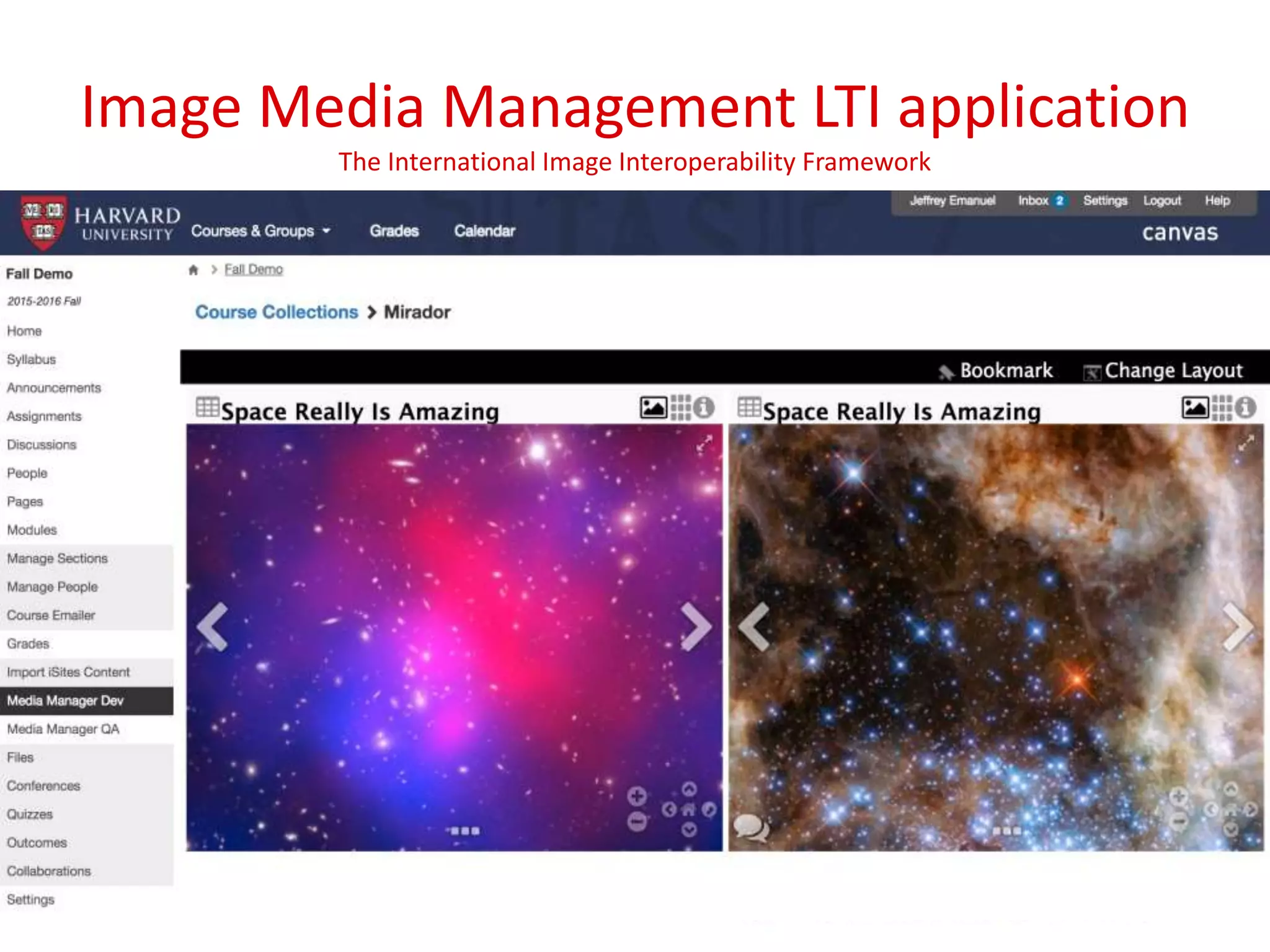 Image Media Management LTI application
The International Image Interoperability Framework
Goals
• Filling a gap in Canvas
• Faculty–contributed content
• Shared through IIIF
 