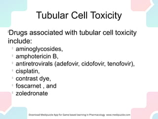 Tubular Cell Toxicity
l
Drugs associated with tubular cell toxicity
include:
l
aminoglycosides,
l
amphotericin B,
l
antiretrovirals (adefovir, cidofovir, tenofovir),
l
cisplatin,
l
contrast dye,
l
foscarnet , and
l
zoledronate
 