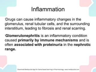Inflammation
l
Drugs can cause inflammatory changes in the
glomerulus, renal tubular cells, and the surrounding
interstitium, leading to fibrosis and renal scarring.
l
Glomerulonephritis is an inflammatory condition
caused primarily by immune mechanisms and is
often associated with proteinuria in the nephrotic
range.
 
