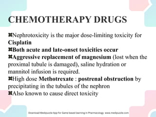 CHEMOTHERAPY DRUGS
Nephrotoxicity is the major dose-limiting toxicity for
Cisplatin
Both acute and late-onset toxicities occur
Aggressive replacement of magnesium (lost when the
proximal tubule is damaged), saline hydration or
mannitol infusion is required.
High dose Methotrexate : postrenal obstruction by
precipitating in the tubules of the nephron
Also known to cause direct toxicity
 