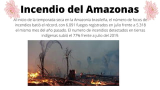 Incendio del Amazonas
Al inicio de la temporada seca en la Amazonia brasileña, el número de focos de
incendios batió el récord, con 6.091 fuegos registrados en julio frente a 5.318
el mismo mes del año pasado. El numero de incendios detectados en tierras
indígenas subió el 77% frente a julio del 2019.
 