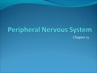 peripheral nervous system | PPT