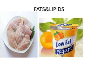 FATS&LIPIDS