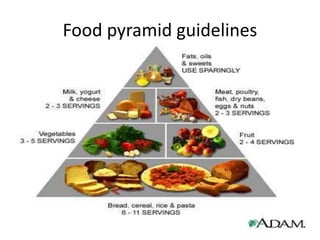 Food pyramid guidelines