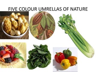 FIVE COLOUR UMRELLAS OF NATURE
