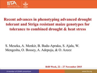 A member of CGIAR consortium www.iita.org
S. Meseka, A. Menkir, B. Badu-Apraku, S. Ajala, W.
Mengesha, O. Bossey, A. Adepoju, & O. Azeez
Recent advances in phenotyping advanced drought
tolerant and Striga resistant maize genotypes for
tolerance to combined drought & heat stress
R4D Week, 22 – 27 November 2015
 
