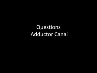 Questions
Adductor Canal
 