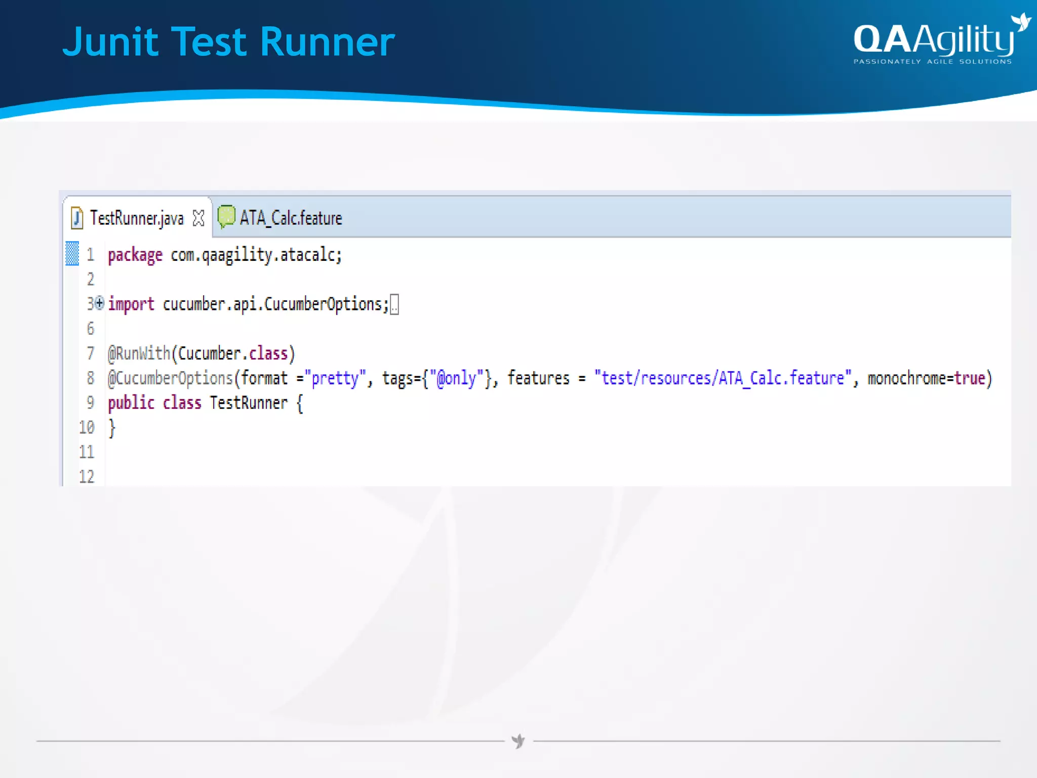 Junit Test Runner
 