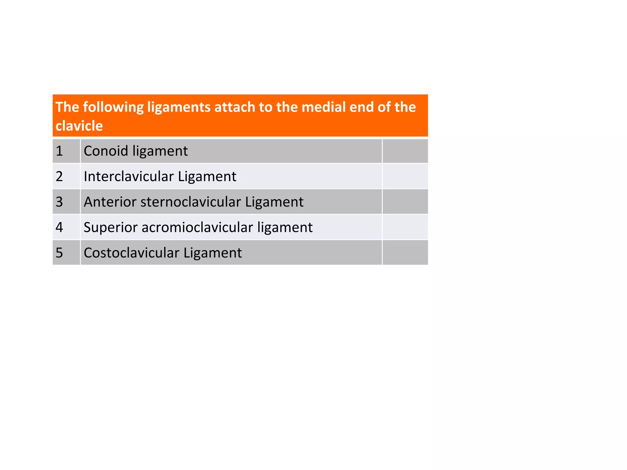 The following ligaments attach to the medial end of the
clavicle
1 Conoid ligament
2 Interclavicular Ligament
3 Anterior sternoclavicular Ligament
4 Superior acromioclavicular ligament
5 Costoclavicular Ligament