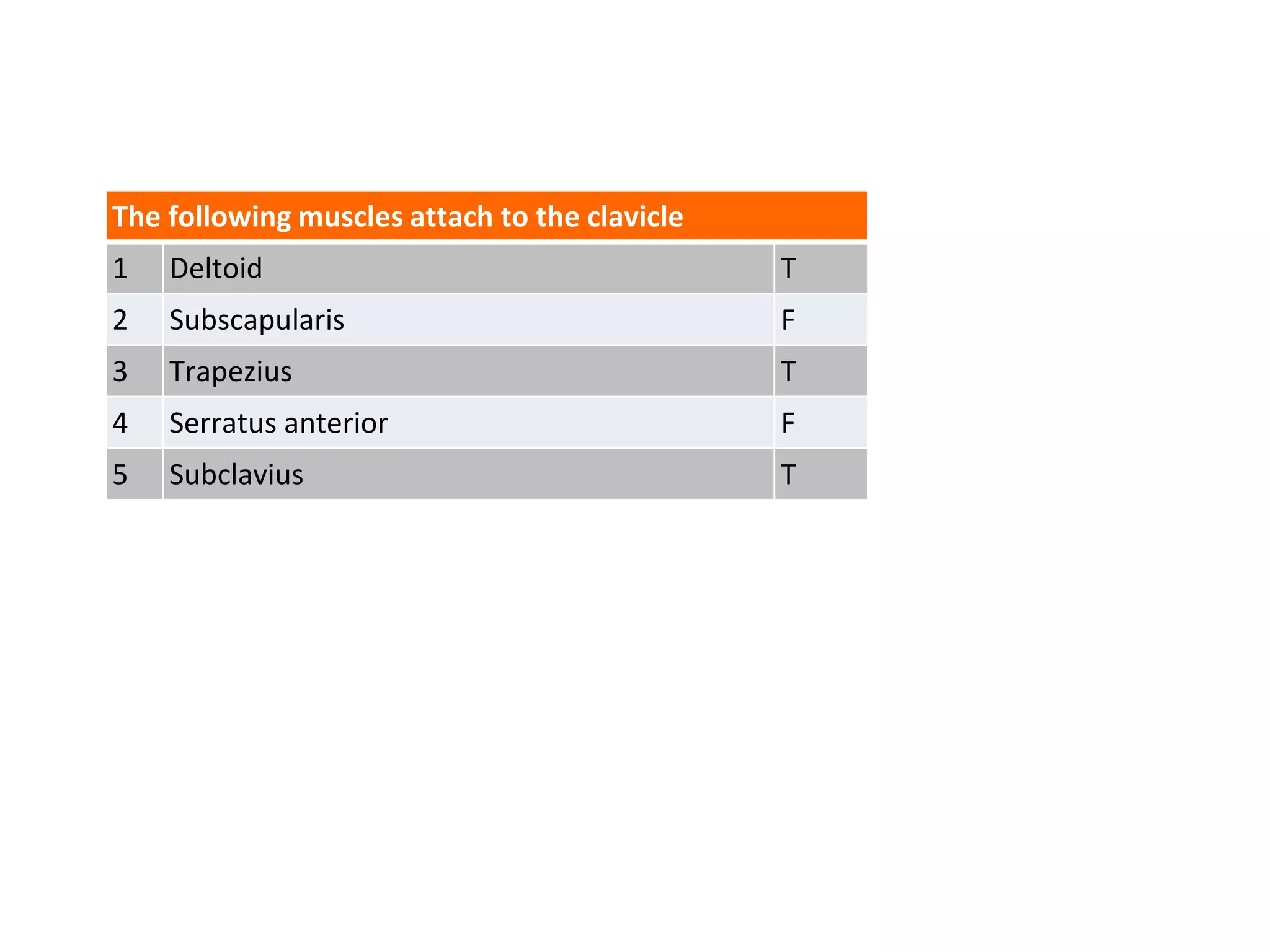 The following muscles attach to the clavicle
1 Deltoid T
2 Subscapularis F
3 Trapezius T
4 Serratus anterior F
5 Subclavius T