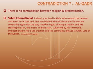  There is no contradiction between religion & predestination.

 Sahih International: Indeed, your Lord is Allah, who created the heavens
    and earth in six days and then established Himself above the Throne. He
    covers the night with the day, [another night] chasing it rapidly; and [He
    created] the sun, the moon, and the stars, subjected by His command.
    Unquestionably, His is the creation and the command; blessed is Allah, Lord of
    the worlds. [ Surah al-A'raf 7, Ayat 54 ]
 