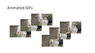 Animated GIFs
Video Tags:
<video loop autoplay muted playsinline controls = "false” src="goats.mp4”/>
Video is not pre-loa...