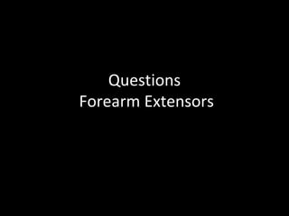 Questions
Forearm Extensors
 