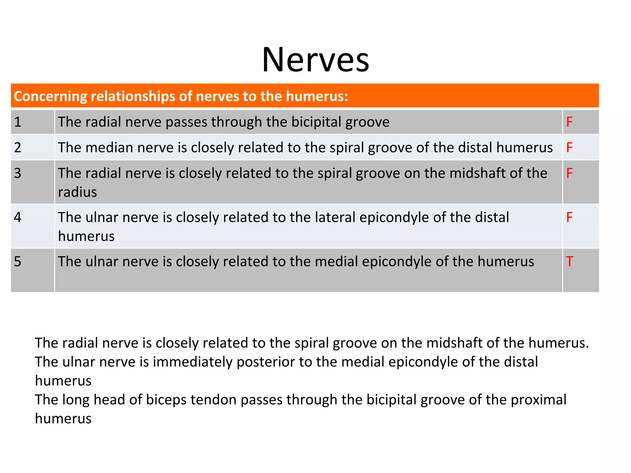 Concerning relationships of nerves to the humerus:
1 The radial nerve passes through the bicipital groove F
2 The median nerve is closely related to the spiral groove of the distal humerus F
3 The radial nerve is closely related to the spiral groove on the midshaft of the
radius
F
4 The ulnar nerve is closely related to the lateral epicondyle of the distal
humerus
F
5 The ulnar nerve is closely related to the medial epicondyle of the humerus T
Nerves
The radial nerve is closely related to the spiral groove on the midshaft of the humerus.
The ulnar nerve is immediately posterior to the medial epicondyle of the distal
humerus
The long head of biceps tendon passes through the bicipital groove of the proximal
humerus
 