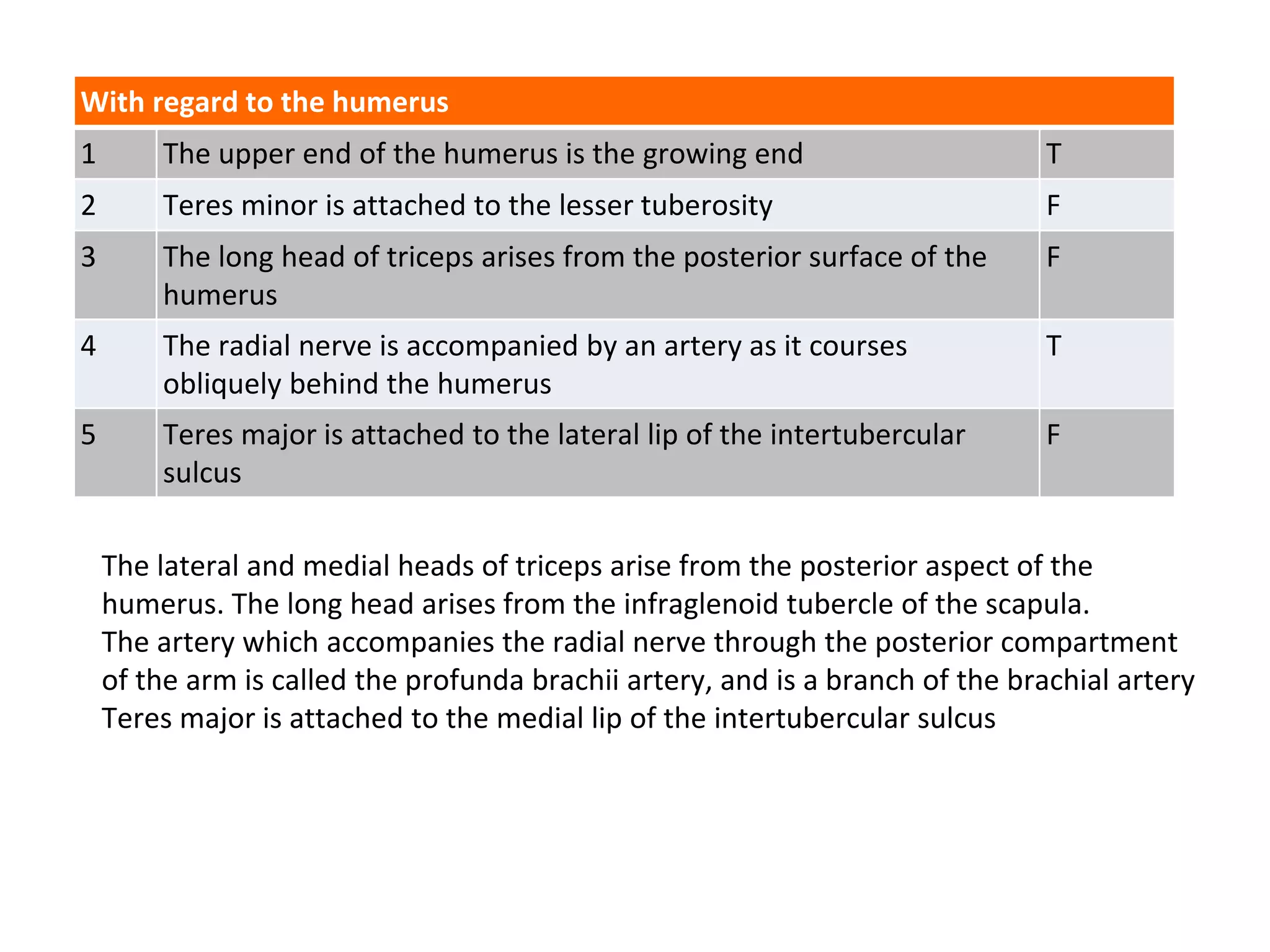 The lateral and medial heads of triceps arise from the posterior aspect of the
humerus. The long head arises from the infraglenoid tubercle of the scapula.
The artery which accompanies the radial nerve through the posterior compartment
of the arm is called the profunda brachii artery, and is a branch of the brachial artery
Teres major is attached to the medial lip of the intertubercular sulcus
With regard to the humerus
1 The upper end of the humerus is the growing end T
2 Teres minor is attached to the lesser tuberosity F
3 The long head of triceps arises from the posterior surface of the
humerus
F
4 The radial nerve is accompanied by an artery as it courses
obliquely behind the humerus
T
5 Teres major is attached to the lateral lip of the intertubercular
sulcus
F
 