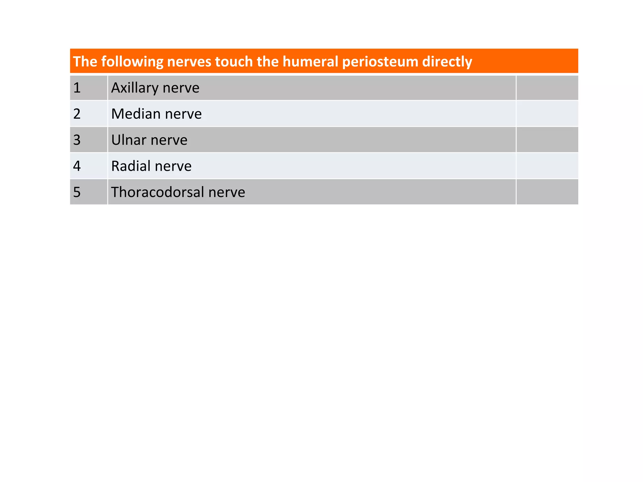 The following nerves touch the humeral periosteum directly
1 Axillary nerve
2 Median nerve
3 Ulnar nerve
4 Radial nerve
5 Thoracodorsal nerve
 