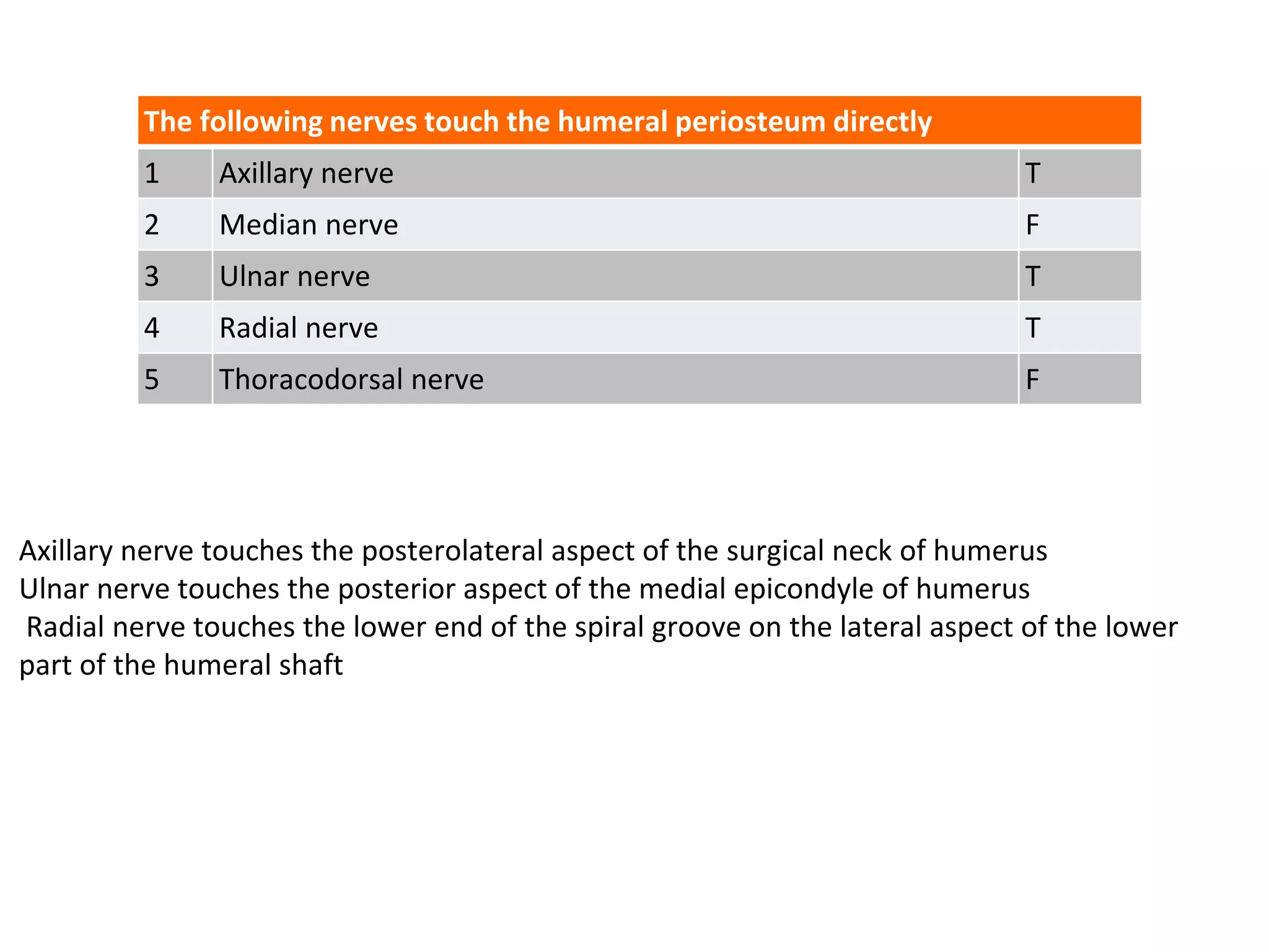 Axillary nerve touches the posterolateral aspect of the surgical neck of humerus
Ulnar nerve touches the posterior aspect of the medial epicondyle of humerus
Radial nerve touches the lower end of the spiral groove on the lateral aspect of the lower
part of the humeral shaft
The following nerves touch the humeral periosteum directly
1 Axillary nerve T
2 Median nerve F
3 Ulnar nerve T
4 Radial nerve T
5 Thoracodorsal nerve F
 