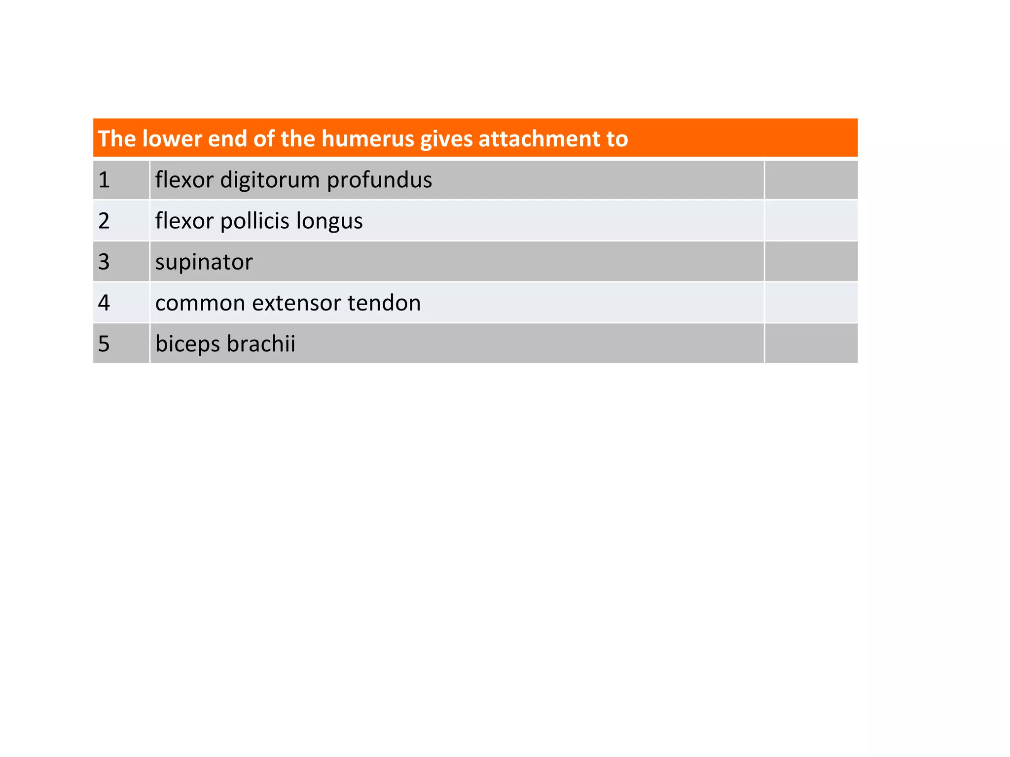 The lower end of the humerus gives attachment to
1 flexor digitorum profundus
2 flexor pollicis longus
3 supinator
4 common extensor tendon
5 biceps brachii
 