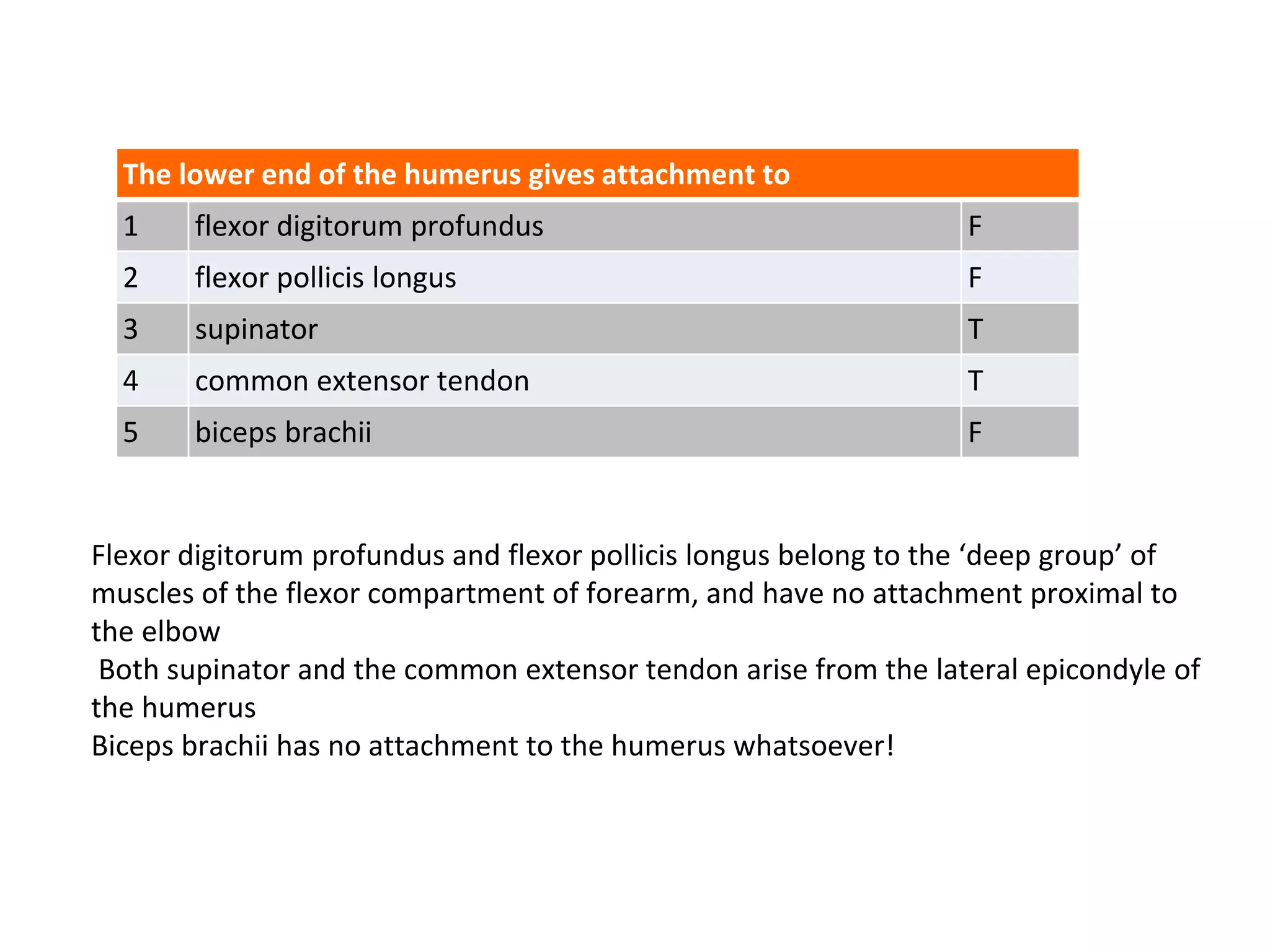 Flexor digitorum profundus and flexor pollicis longus belong to the ‘deep group’ of
muscles of the flexor compartment of forearm, and have no attachment proximal to
the elbow
Both supinator and the common extensor tendon arise from the lateral epicondyle of
the humerus
Biceps brachii has no attachment to the humerus whatsoever!
The lower end of the humerus gives attachment to
1 flexor digitorum profundus F
2 flexor pollicis longus F
3 supinator T
4 common extensor tendon T
5 biceps brachii F
 