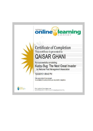 QAISAR GHANI CV & CERTIFICATES,  