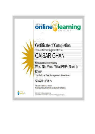 QAISAR GHANI CV & CERTIFICATES,  