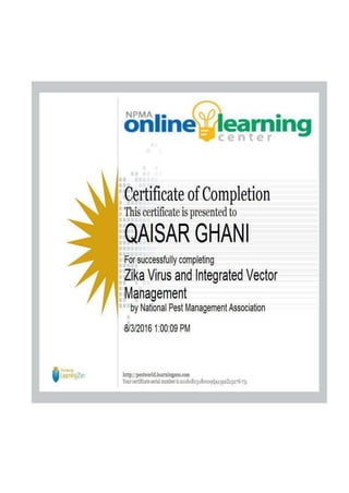 QAISAR GHANI CV & CERTIFICATES,  