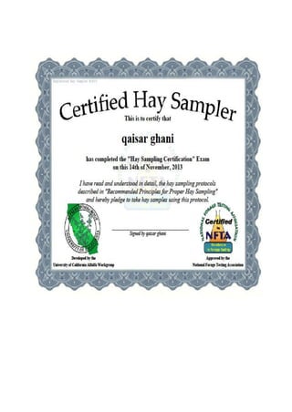 QAISAR GHANI CV & CERTIFICATES,  