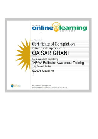 QAISAR GHANI CV & CERTIFICATES,  