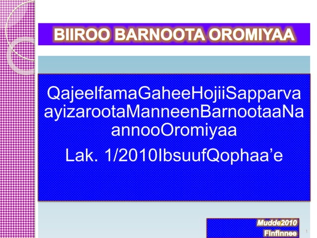 qajeelfama-gahee-hojii-suparvaayizaroota-manneen-barnootaa-naann-pptx